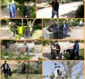 مدیر جهادی یا حرکات نمایشی/ به شعور مخاطب احترام بگذاریم!